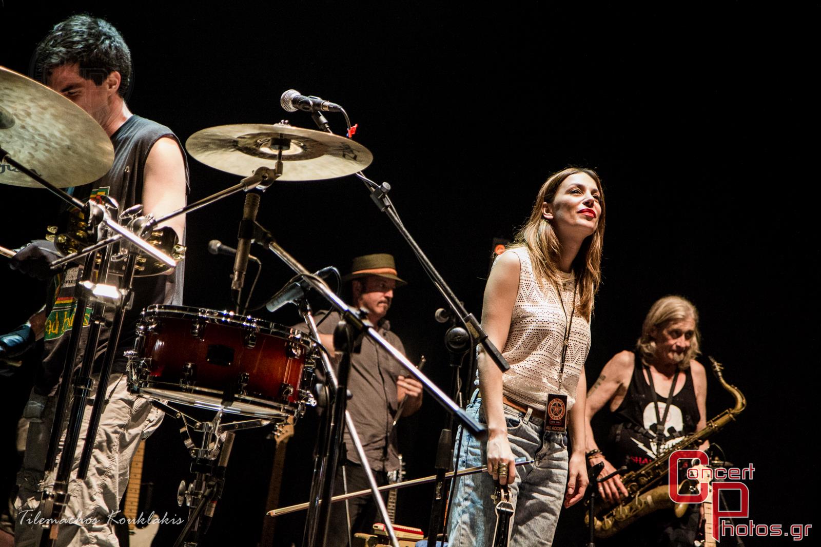 Violent Femmes-Violent Femmes photographer:  - concertphotos_20140619_00_43_57-6